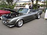 http://i603.photobucket.com/albums/tt115/Cars_for_trade/Seaside Show/th_GT350E_01.jpg